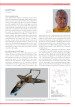 first page from the article