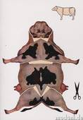  Bogen (1/1 oder 1/2 Blatt)