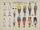  Sheet (1/1 or 1/2 size)