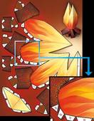  Bogen (1/1 oder 1/2 Blatt)