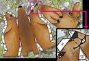  Bogen (1/1 oder 1/2 Blatt)