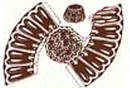  Bogen (1/1 oder 1/2 Blatt)