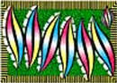  Bogen (1/1 oder 1/2 Blatt)