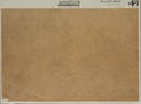  Bogen (1/1 oder 1/2 Blatt)