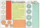  Bogen (1/1 oder 1/2 Blatt)