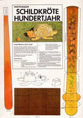  Titel/Umschlag