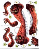  Bogen (1/1 oder 1/2 Blatt)